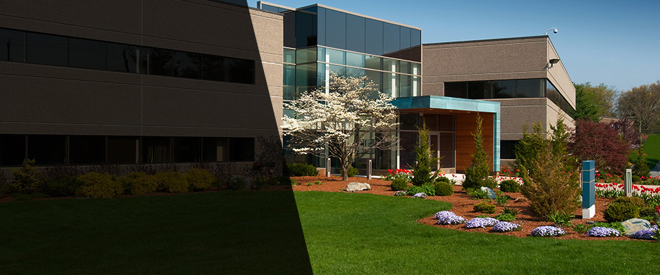 Swansboro Landscapers
