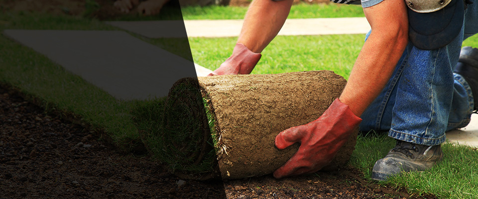 Swansboro Landscapers